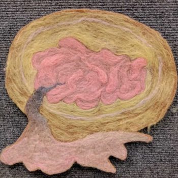 2017IMG_20170709_091353_1024